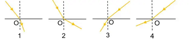 060002zv-c575-632x134.png