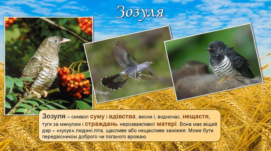 06000385-8dfb-940x527.jpg
