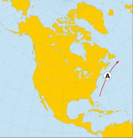 060003nw-4a14-461x478.png