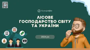 Презентація на тему "Лісове господарство України та світу"