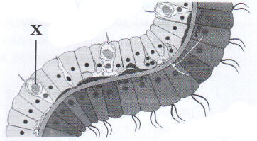 06000amk-8229-362x199.jpg