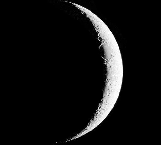 06000amy-51f8-512x461.jpg