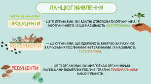 Ілюстрації, схеми "Ланцюг живлення"