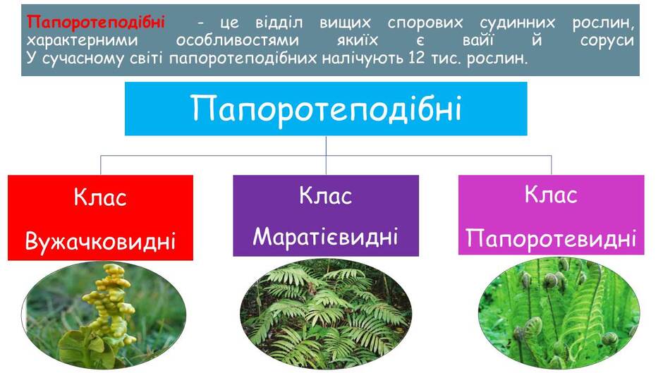 06000crl-6b17-940x529.jpg