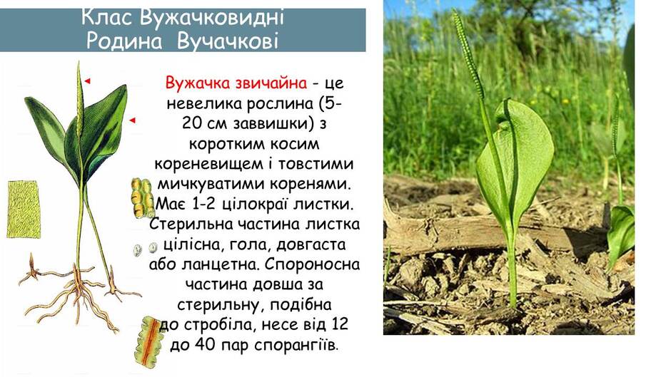 06000crp-3cfa-940x529.jpg