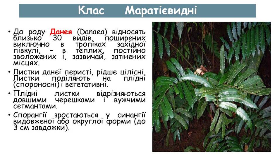 06000crr-122a-940x529.jpg