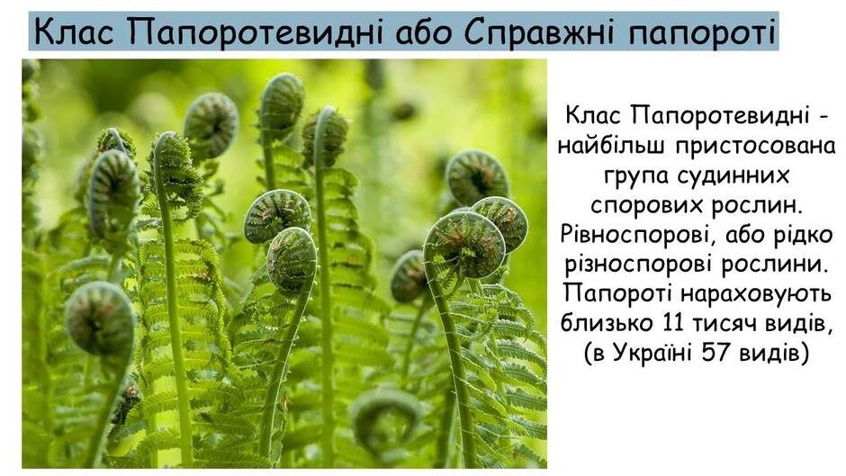 06000cru-cea9-940x529.jpg