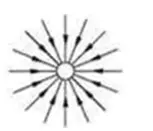 06000eg7-cb64-153x131.png