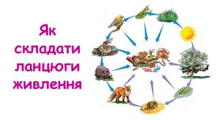 Презентація на тему "Як складати ланцюги живлення" 6 клас НУШ