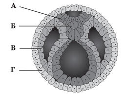 06000g35-3ec3-250x194.jpg