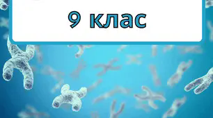 Тема уроку:  “Класичні методи генетичних досліджень. Генотип та фенотип. Алелі.” Теорія +дидактичний матеріал
