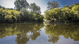 Внутрішні води України