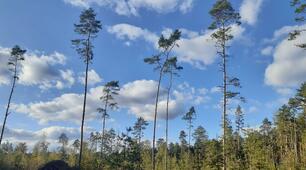 Унікальність планети Земля