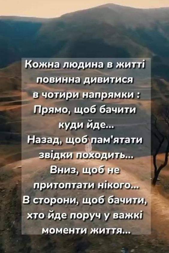 06000jw0-ad51-564x846.jpg
