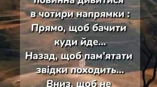 Цитата Дня