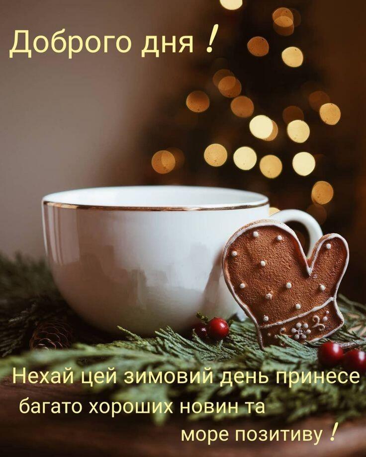 06000kkf-908d-736x920.jpg