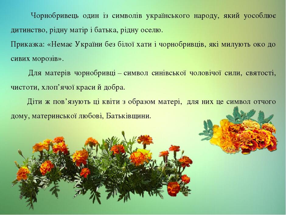 06000os5-1a70-940x705.jpg