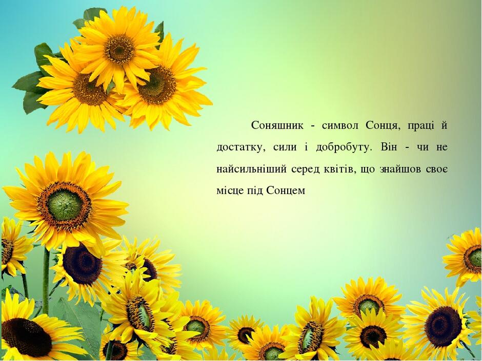 06000os9-40aa-940x705.jpg