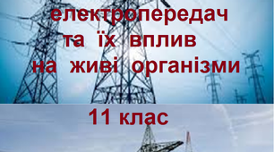 Дидактичний матеріал до теми ''Лінії електропередач та їх вплив на живі організми'', 11 клас.