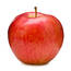Red Apple Stock Photo - Download Image Now - Apple - Fruit, Cut Out, White Background - iStock