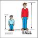 taller