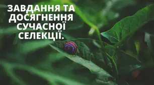 Завдання та досягнення сучасної селекції. Внесок вітчизняних учених-селекціонерів.