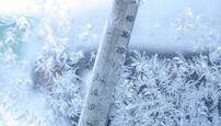06000s64-49f5-202x115.jpg