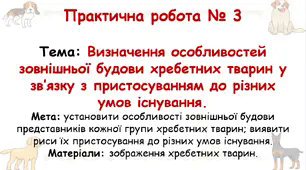 Практична робота №3 Визначення особливостей зовнішньої будови хребетних тварин у зв’язку з пристосуванням до різних умов існування.