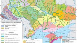 Ландшафт як просторово-цілісна система.