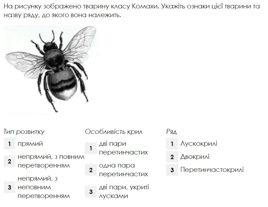 06000w7l-1a3c-919x713.png