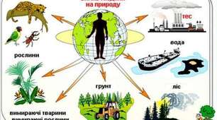 Екологічні чинники та їхня класифікація.  Закономірності впливу екологічних чинників на організми та їх угруповання. Стено- та еврибіонтні види