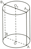 060010bj-7b91-117x187.png