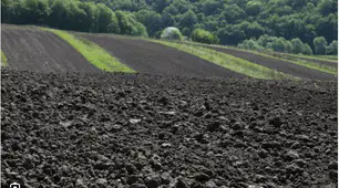 ҐРУНТИ України