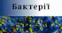 Бактерії. Підготовка до НМТ 2024