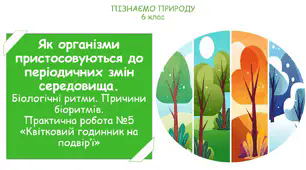 Презентація на тему "Як організми пристосовуються до періодичних змін середовища. Біологічні ритми. Причини біоритмів. Практична робота №5 «Квітковий годинник на подвір’ї»"