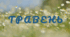 Читацький челендж. Місяці. Травень