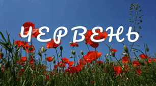 Читацький челендж. Місяці.  Червень