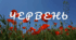 Читацький челендж. Місяці.  Червень
