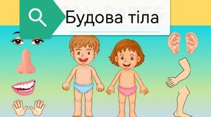 Яку будову має наше тіло. Шкіра. Опорно-рухова система.