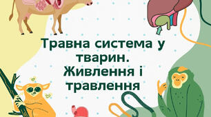 Травлення. Дихання та транспорт речовин у тварин