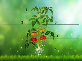 06001a2o-fd8b-287x215.jpg