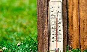 06001aqu-e8e2-290x174.jpg