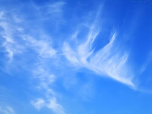 06001bd4-dcd0-512x384.jpg