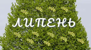 Читацький челендж. Місяці. Липень