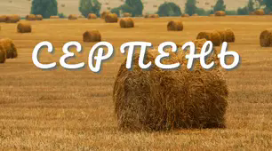 Читацький челендж. Місяці.  Серпень