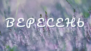 Читацький челендж. Місяці. Вересень