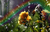 06001jac-3747-200x128.gif