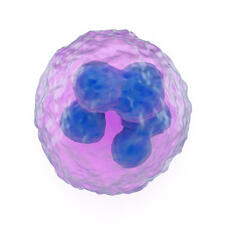06001l1s-a940-225x225.jpg