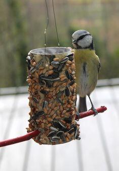Пін може містити: a bird is perched on a feeder full of seeds