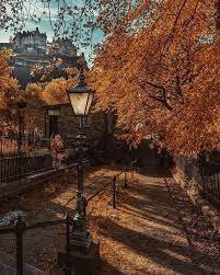 Photos Of Britain 🇬🇧 on Instagram: “Has Autumn made an appearance where you are in the world? 🍂🍁🍂 Some tre… | Autumn scenery, Fall pictures, Autumn inspiration